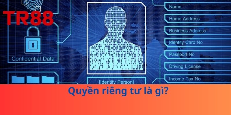 Quyền Riêng Tư – Chìa Khóa Bảo Vệ Dữ Liệu Cá Nhân 1 Quyền riêng tư là gì?